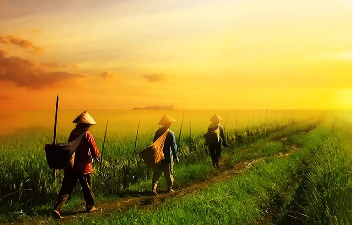 Người tín hữu và lời mời gọi “môn đệ thừa sai”